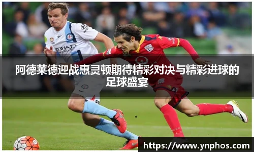 阿德莱德迎战惠灵顿期待精彩对决与精彩进球的足球盛宴