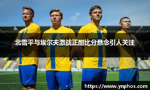 北雪平与埃尔夫激战正酣比分悬念引人关注