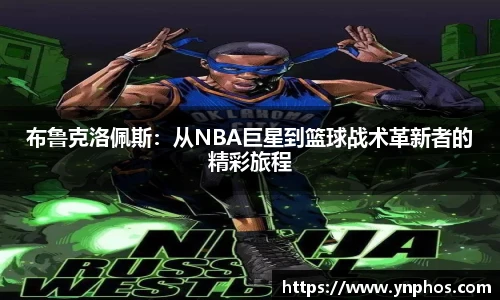 3377体育官网首页