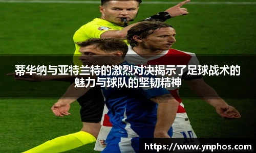 3377体育官网首页